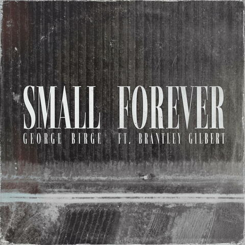 Small Forever album art