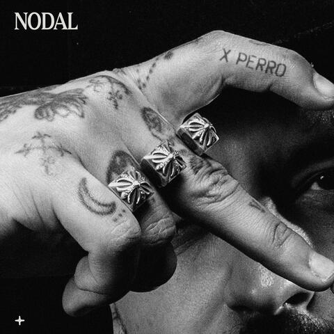 X Perro album art