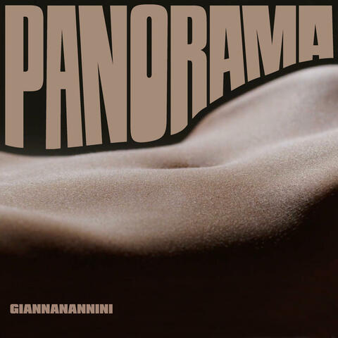 PANORAMA album art