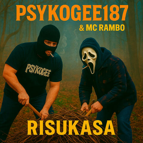 Risukasa album art