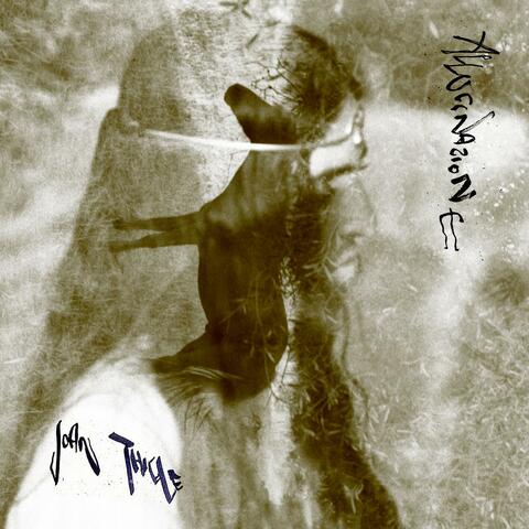 Allucinazione album art