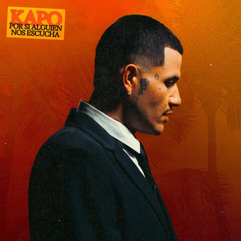 POR SI ALGUIEN NOS ESCUCHA album art