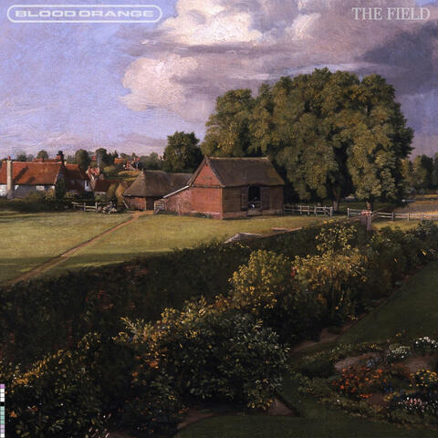 The Field album art