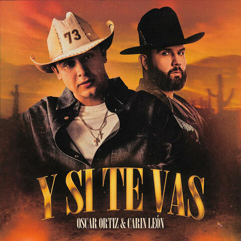 Y Si Te Vas album art