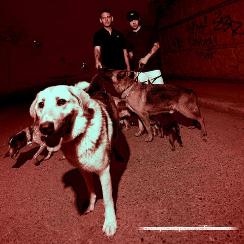 creo que mi perro ve fantasmas album art