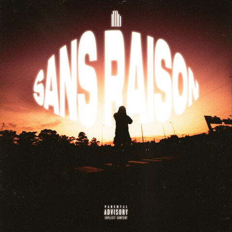 Sans raison album art