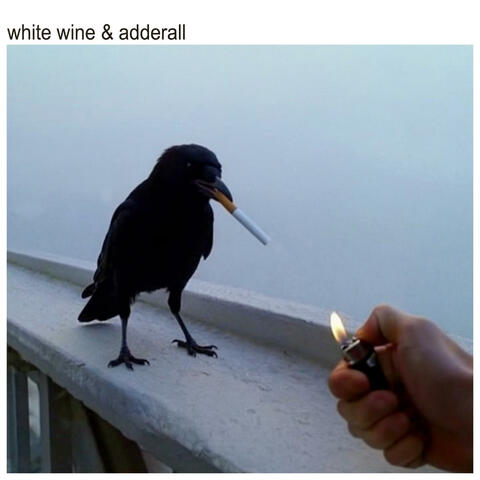 White Wine & Adderall album art