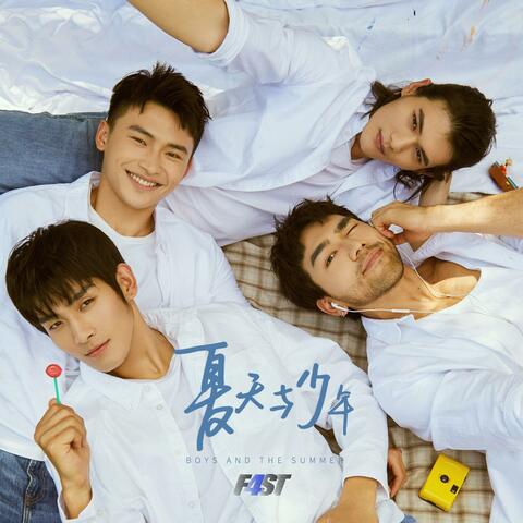 夏天与少年 album art