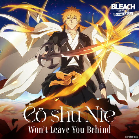 Won't Leave You Behind album art