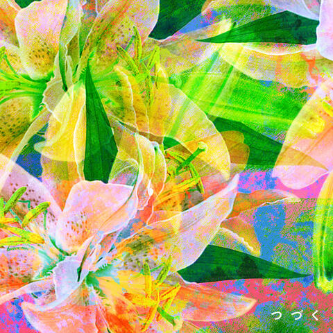 Tsuzuku album art
