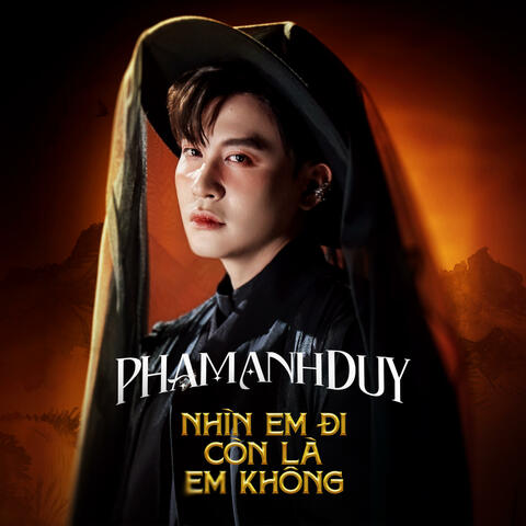 Nhìn Em Đi Còn Là Em Không album art