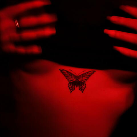Butterfly Tat album art