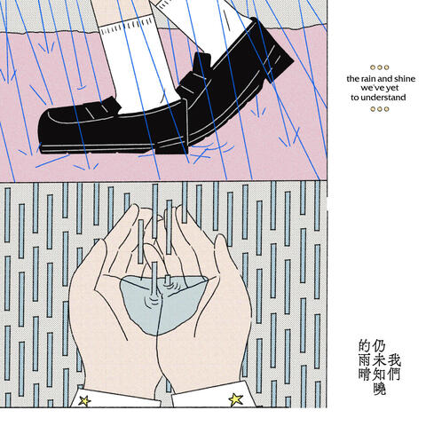 The rain and shine we've yet to understand album art