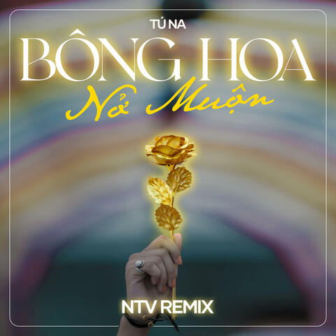 Bông Hoa Nở Muộn album art