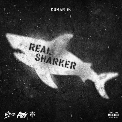 Real Sharker album art