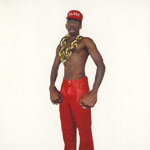 DON'T TAP THE GLASS album art
