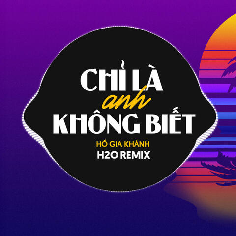Chỉ Là Anh Không Biết album art
