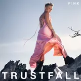 Image of TRUSTFALL