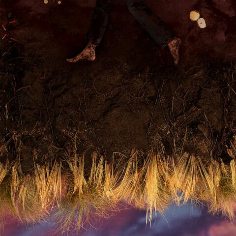 Eat Your Young album art