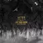 Eat Your Young (Bekon's Choral Version) album artwork