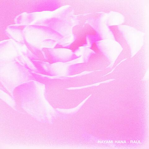 Hayami Hana album art