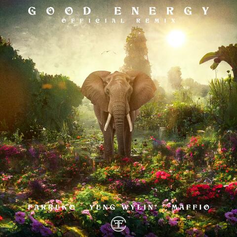 Good Energy album art