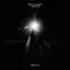 Turn the Lights Back On album artwork