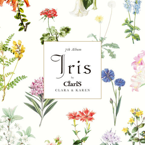 Iris album art