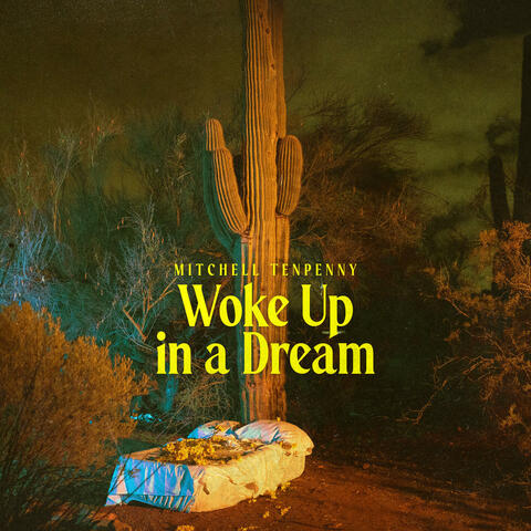 Woke Up in a Dream album art