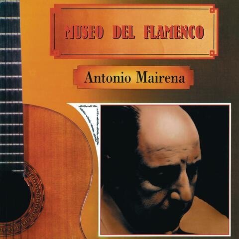Museo Del Flamenco album art