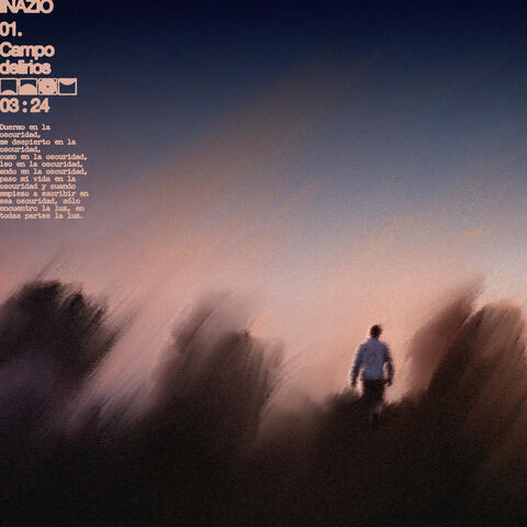 Campo delirios album art