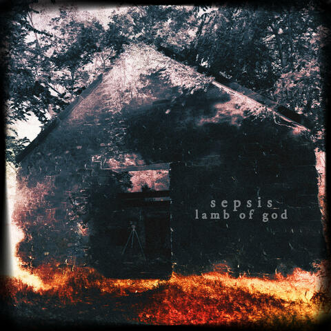 Sepsis album art