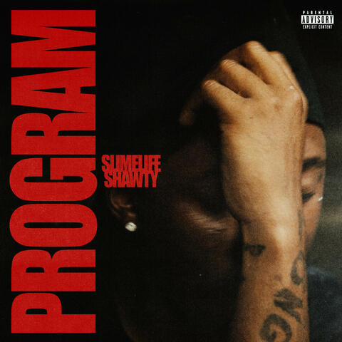 Program album art