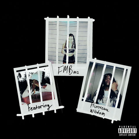FMB pt 2 album art