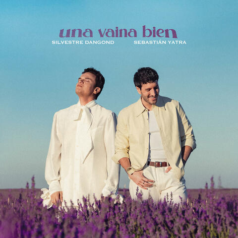 Una Vaina Bien album art