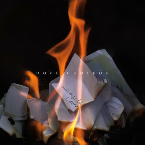 Hello My Old Lover album art