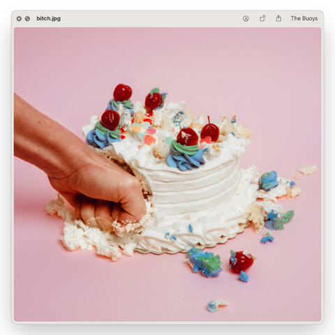 Bitch album art