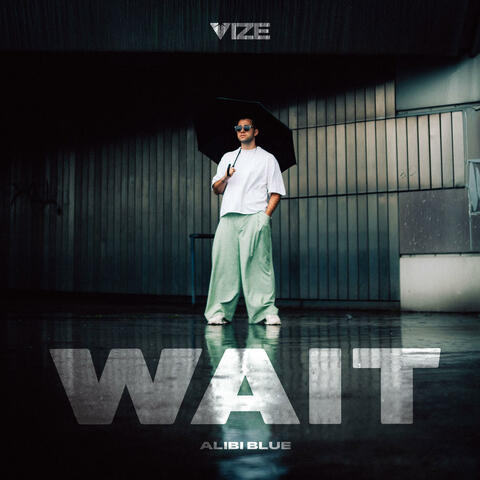 Wait (Alibi Blue) album art