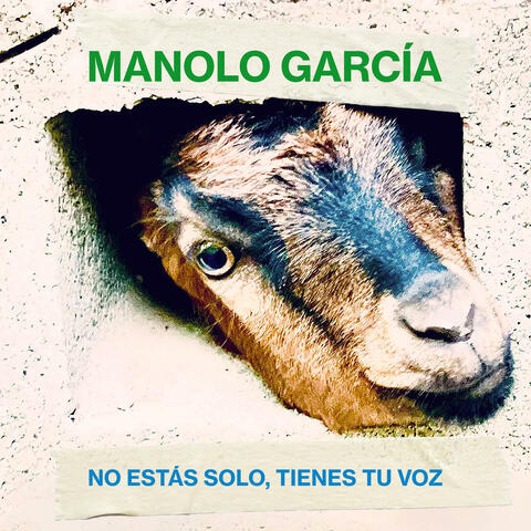 No estás solo, tienes tu voz album art