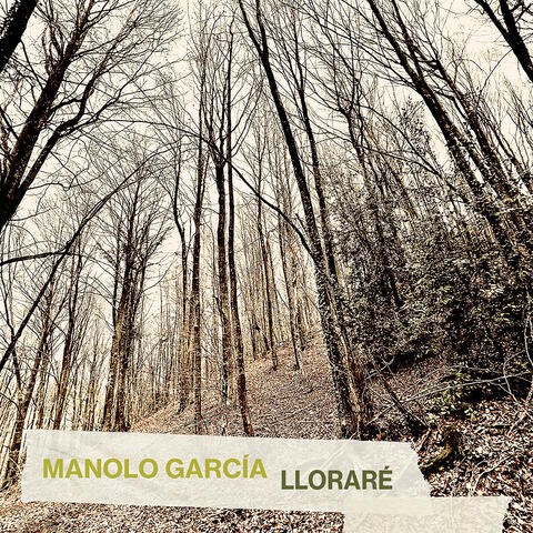 Lloraré album art