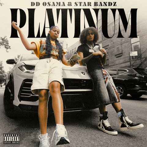 Platinum album art
