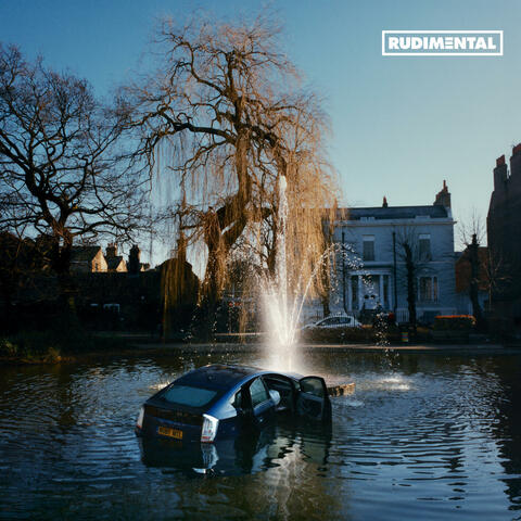 RUDIM3NTAL album art