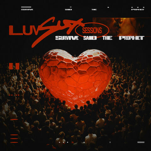 Luv Sux Sessions album art