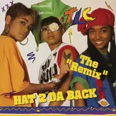 Image of Hat 2 Da Back / Get It Up