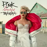 Image of Beautiful Trauma