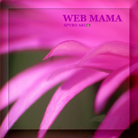 WEB MAMA album art
