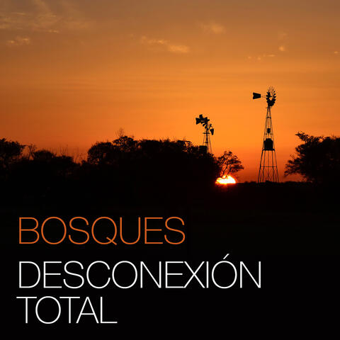 Desconexión total album art