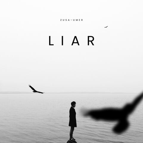 LIAR album art