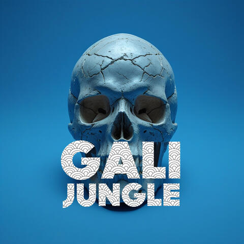 Gali Jungle album art