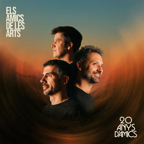 20 anys d'Amics album art
